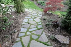 Irregular with grass joint walk
