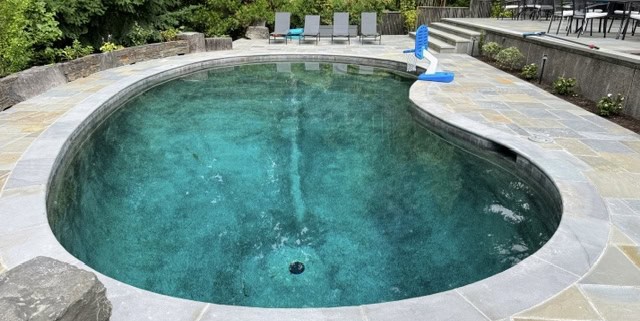 Inground freeform swimming pool with bullnosed bluestone coping and patio seating.