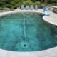 Inground freeform swimming pool with bullnosed bluestone coping and patio seating.